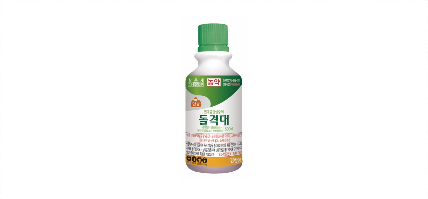 돌격대