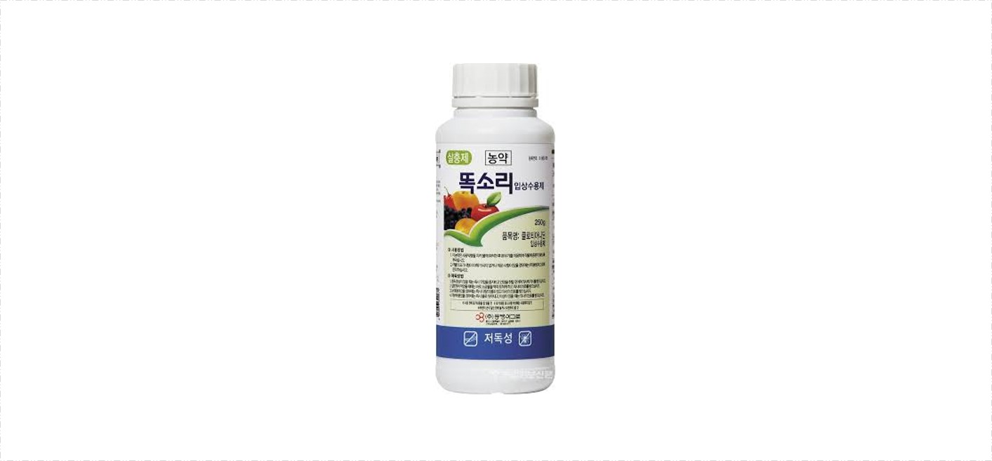 똑소리
