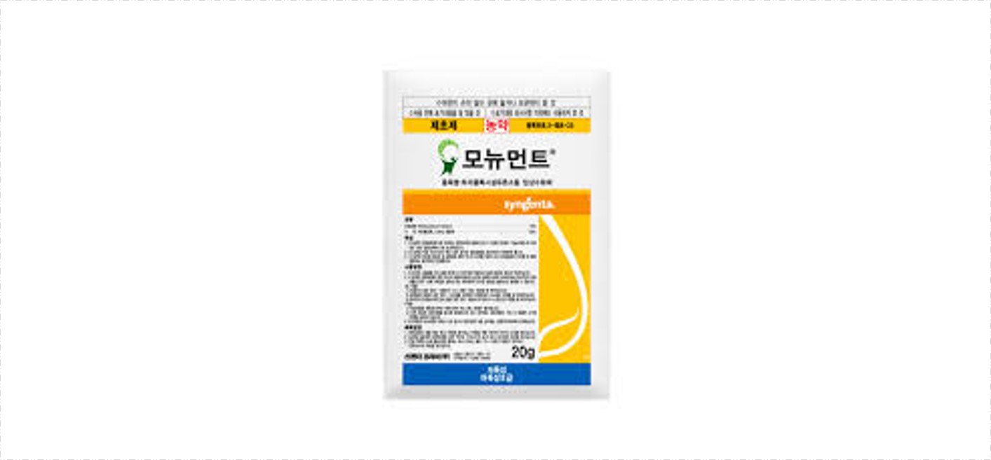 모뉴먼트