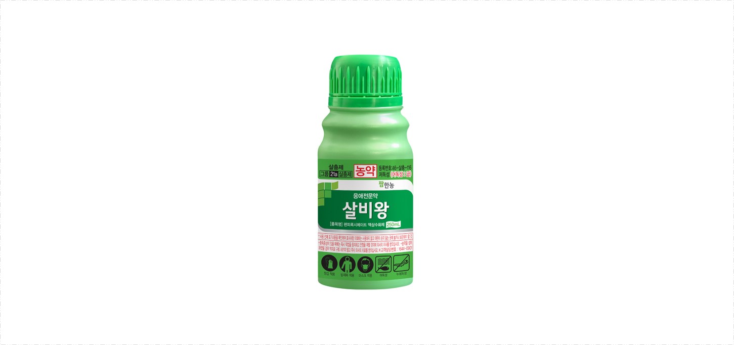 살비왕
