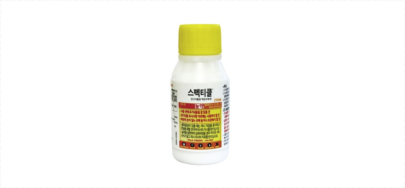 스펙티클