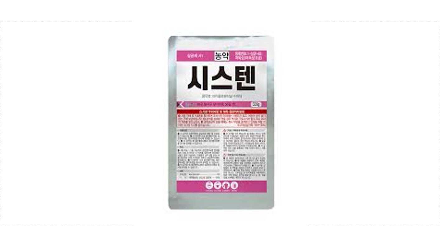 시스텐