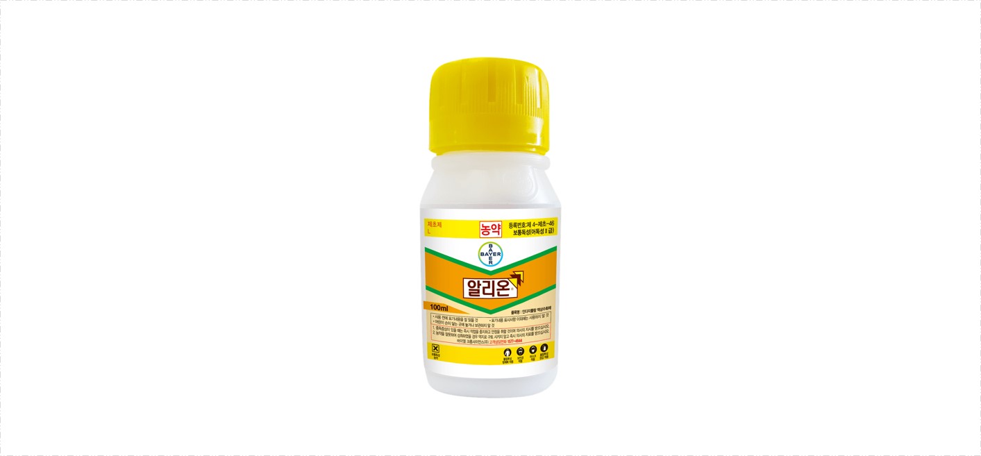 알리온
