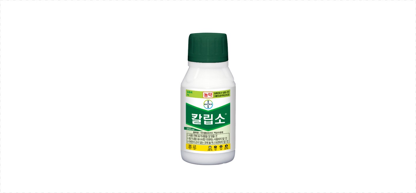 칼립소