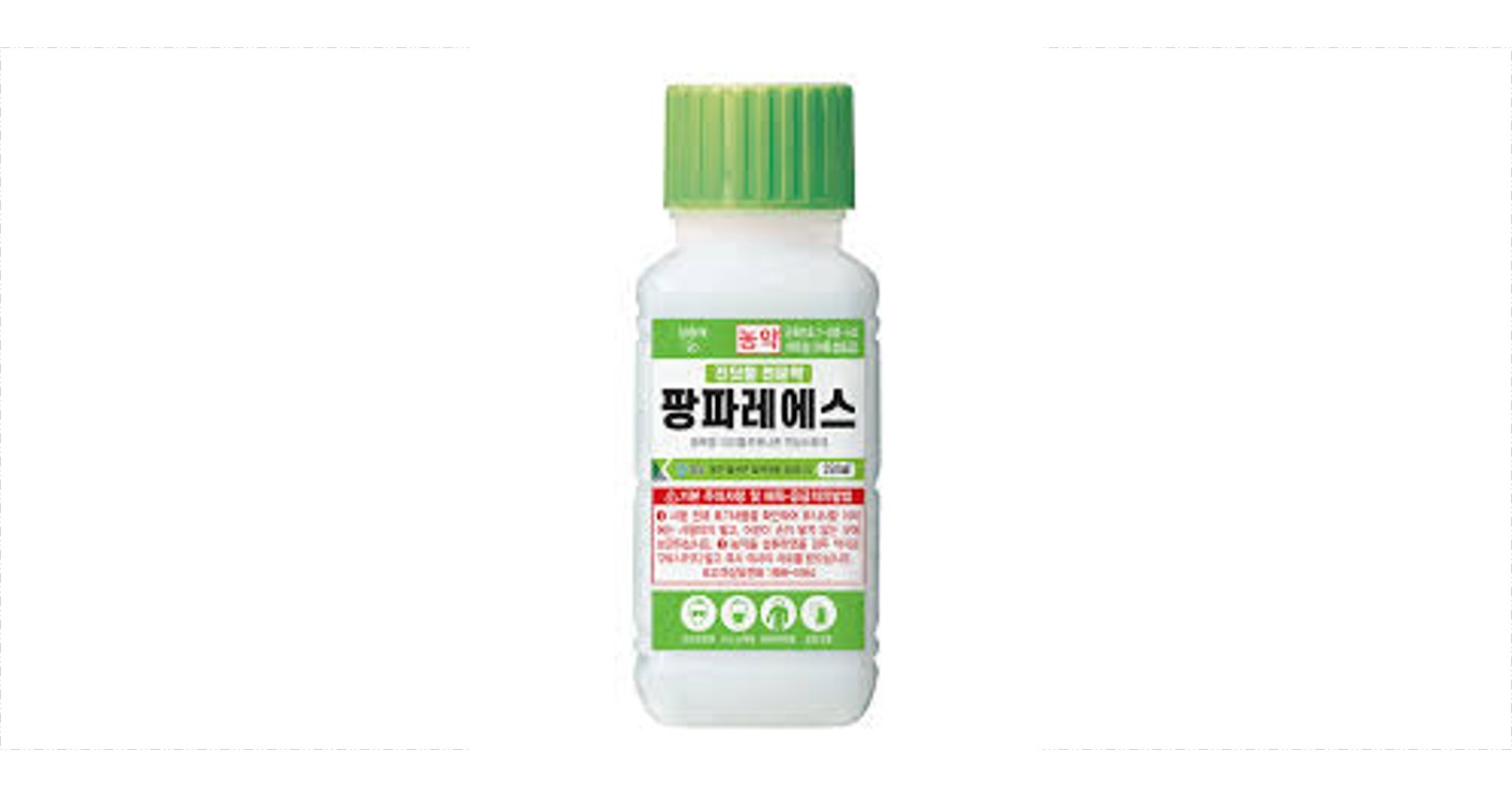 팡파레에스
